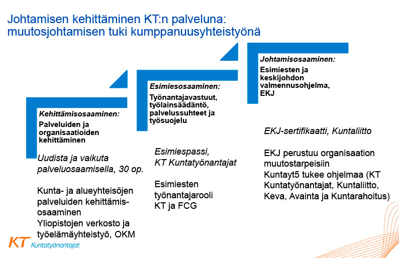 KT:n johtamisen kehittämisen palvelut