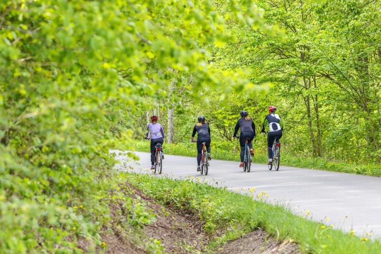 Neljä ihmistä pyöräilee luonnon keskellä.