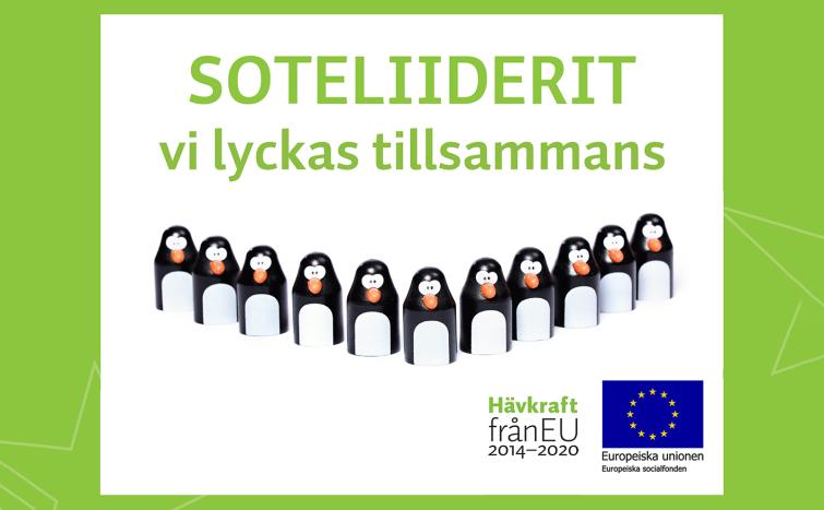 Soteliiderit - vi lyckas tillsammans