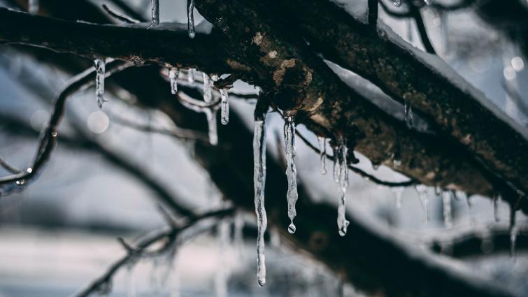 Jääpuikot roikkuvat puunoksilta hyisessä maisemassa. Kuva: Jordan Benton/Pexels.