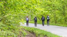 Neljä ihmistä pyöräilee luonnon keskellä.
